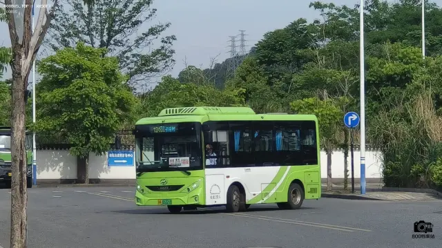 800BUS
