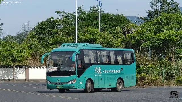 800BUS