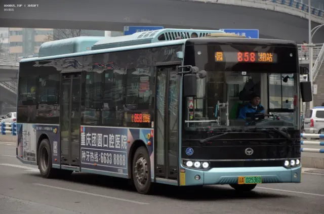800BUS
