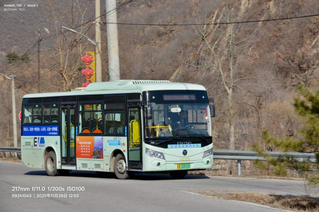 800BUS