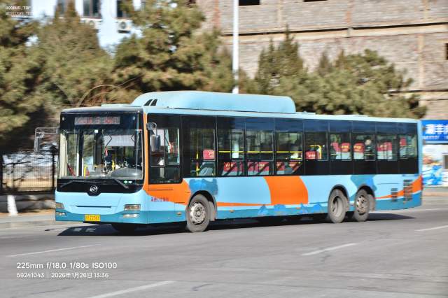 800BUS