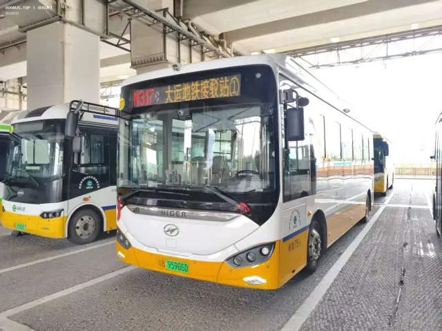 800BUS