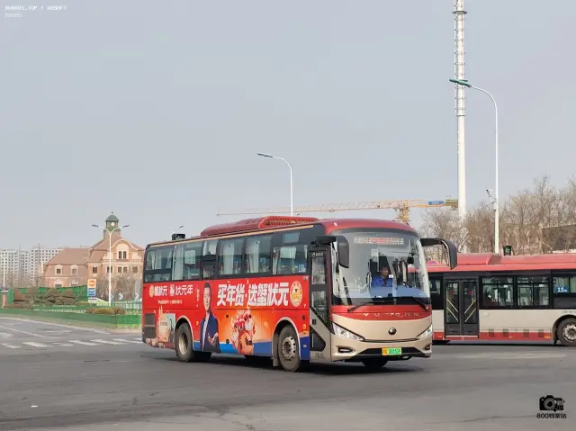 800BUS
