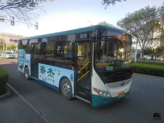 800BUS