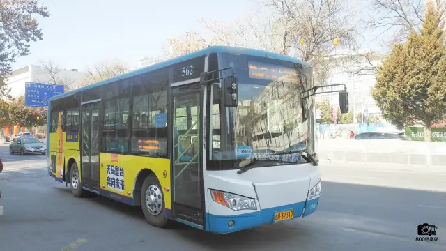 800BUS