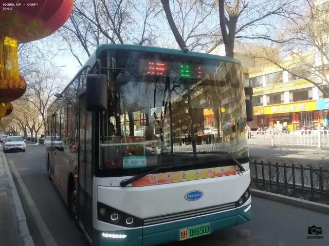 800BUS