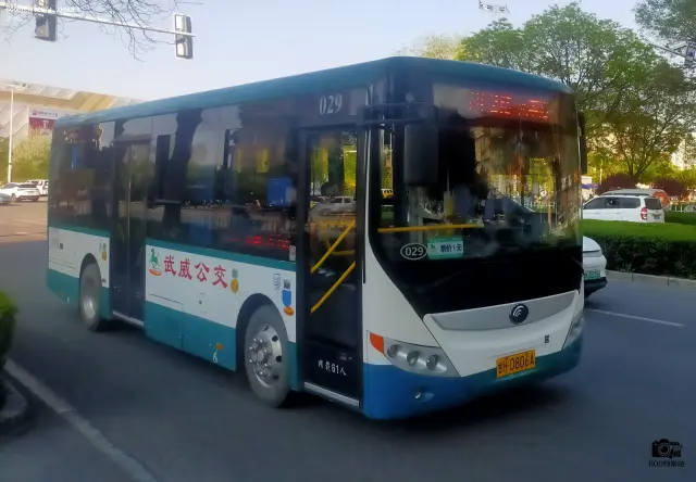 800BUS