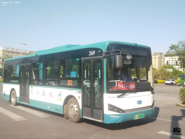 800BUS