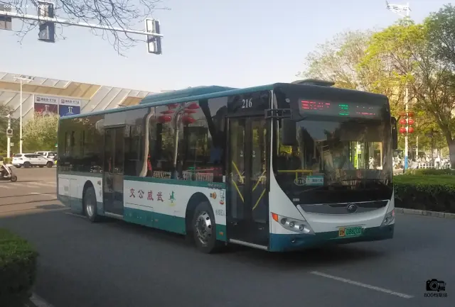 800BUS