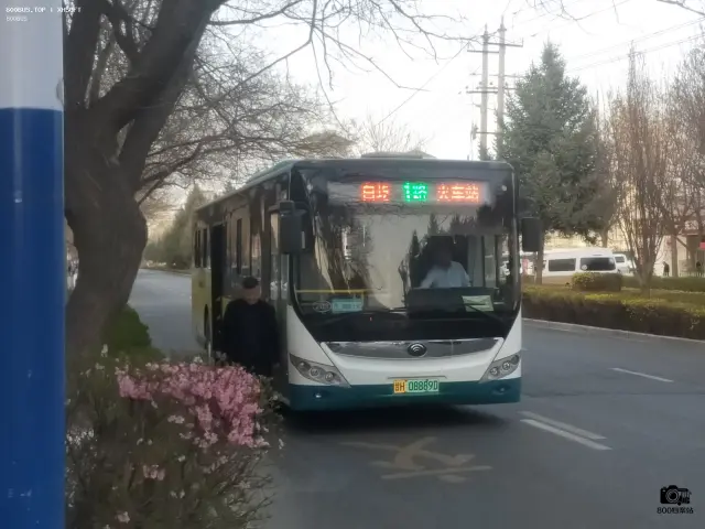 800BUS