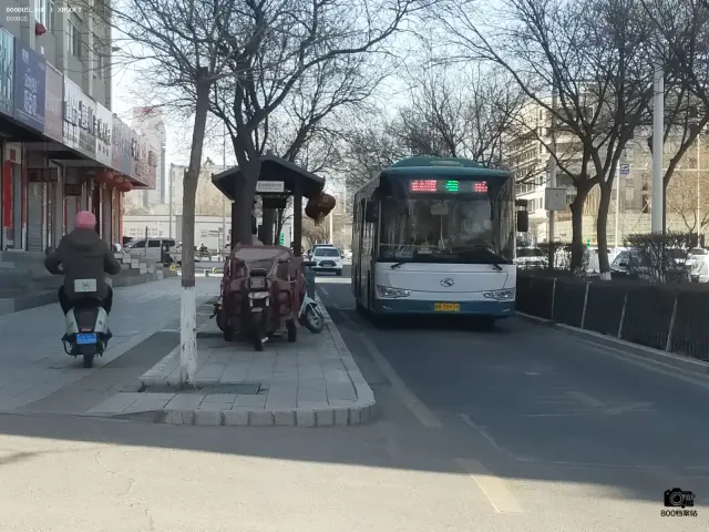800BUS