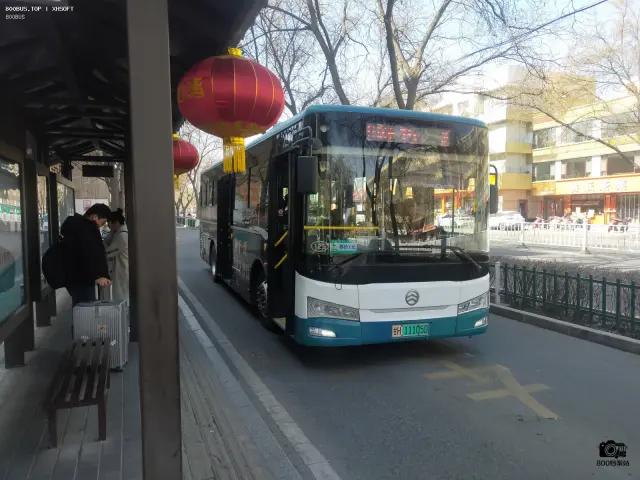 800BUS