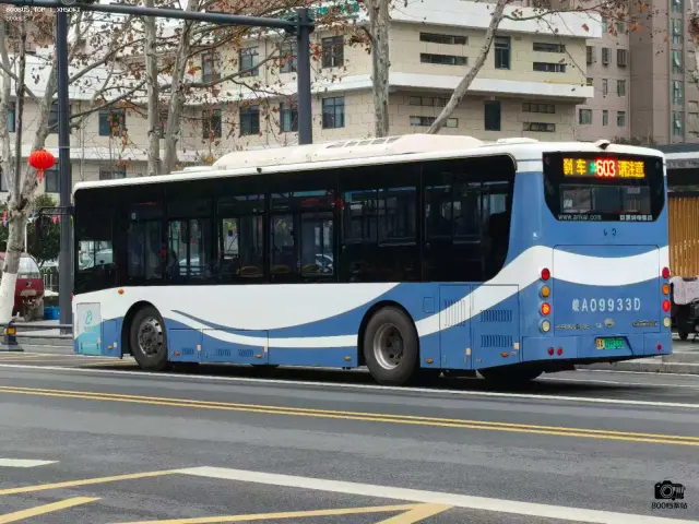 800BUS
