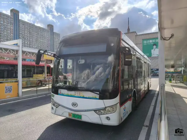 800BUS