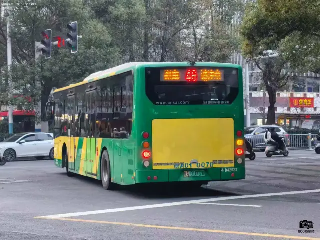 800BUS