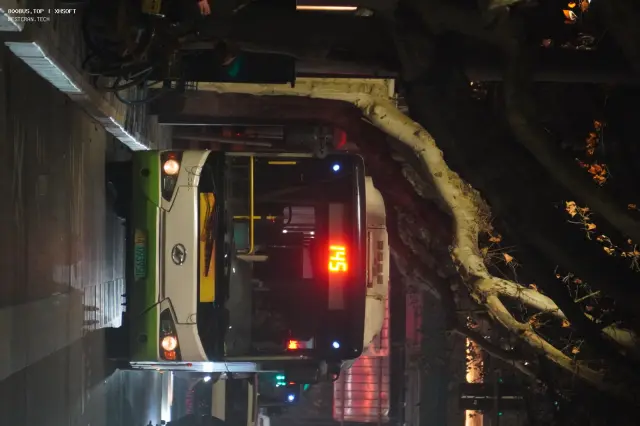 800BUS