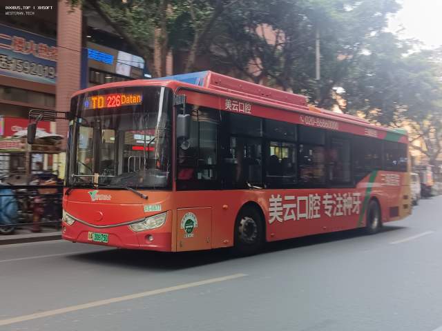 800BUS
