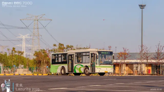 800BUS