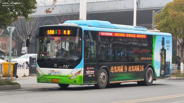 800BUS