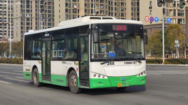 800BUS