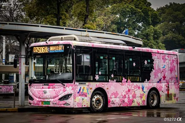 800BUS