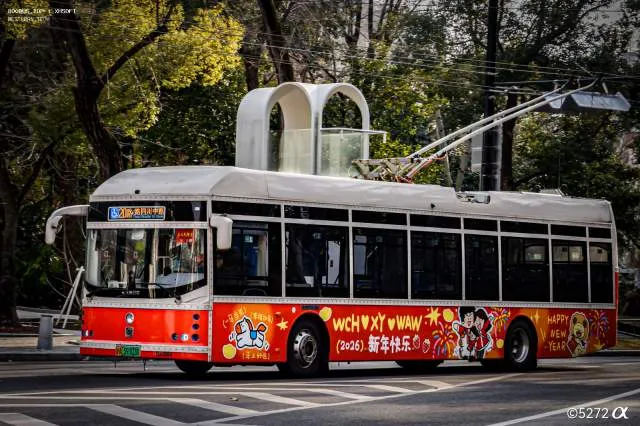 800BUS