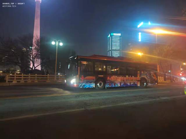 800BUS