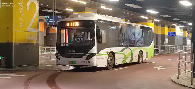 800BUS