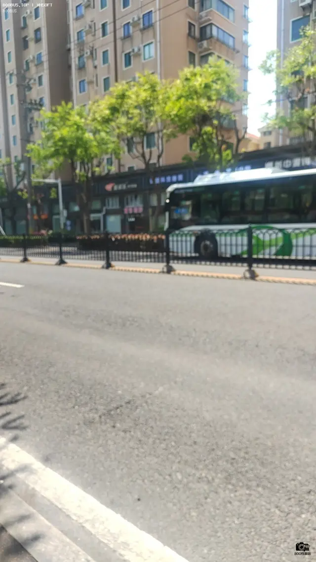 800BUS