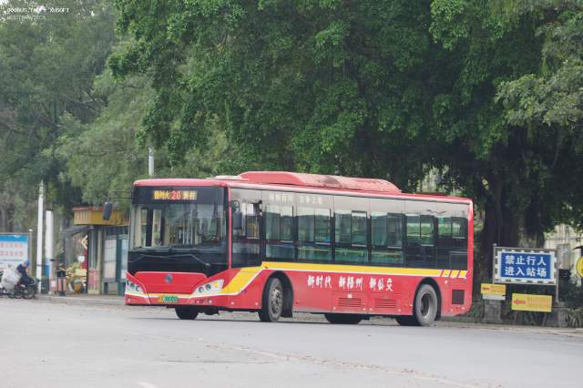 800BUS