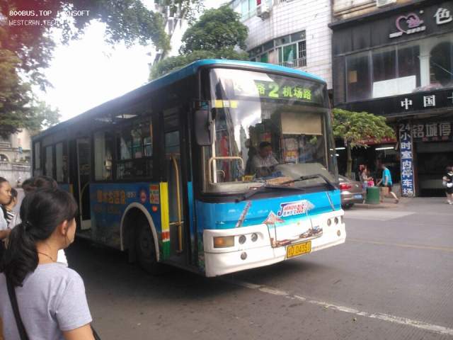 800BUS