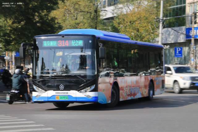 800BUS