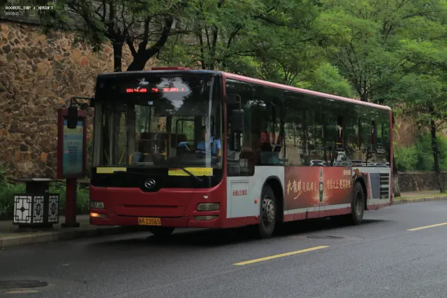 800BUS