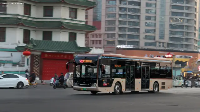 800BUS