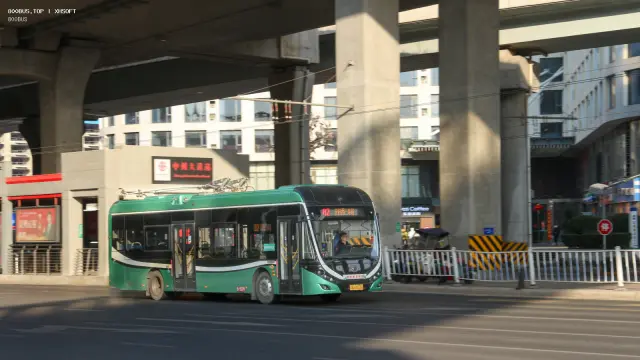 800BUS