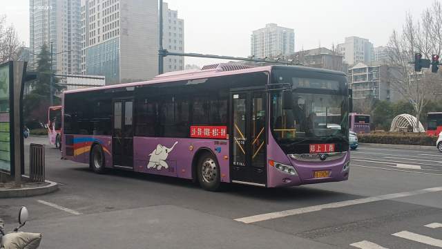 800BUS