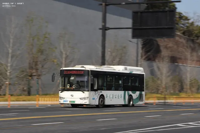 800BUS