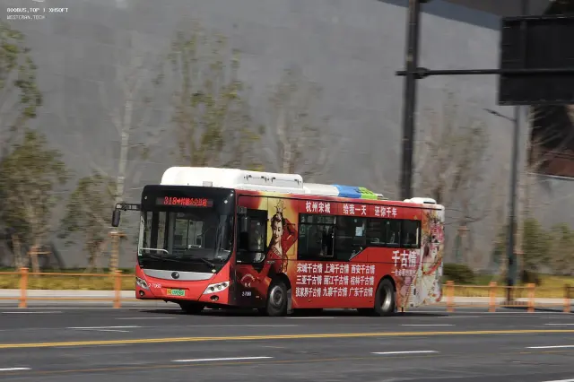 800BUS