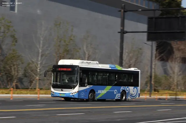 800BUS