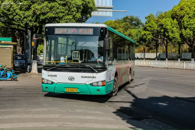 800BUS