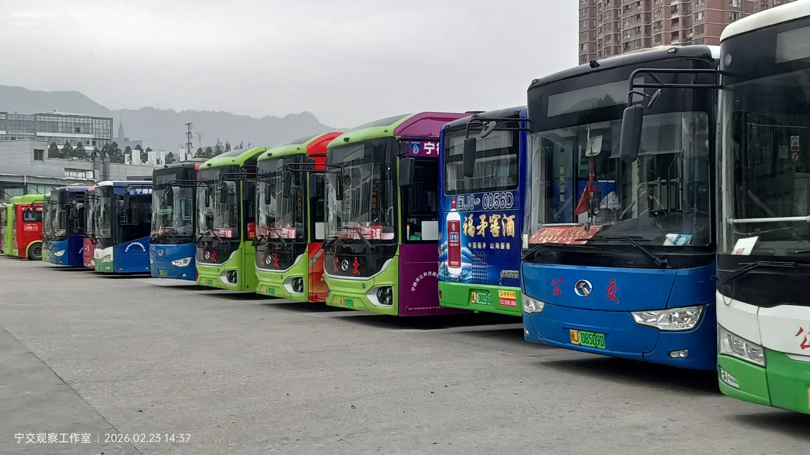 Bus Archive