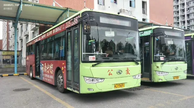 800BUS