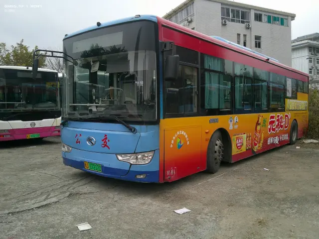 800BUS
