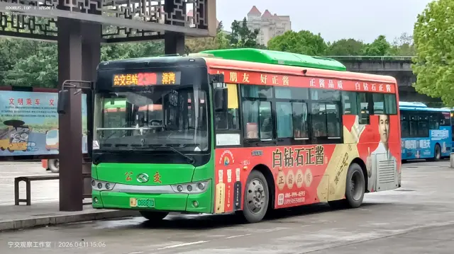 800BUS