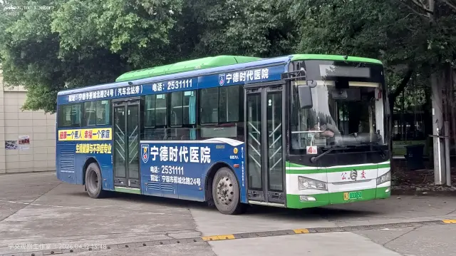 800BUS