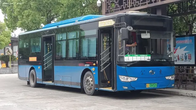 800BUS