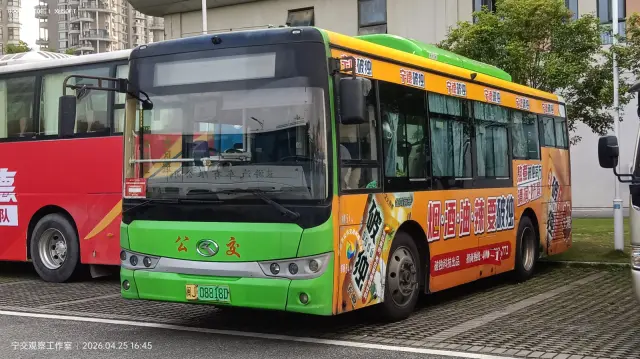 800BUS