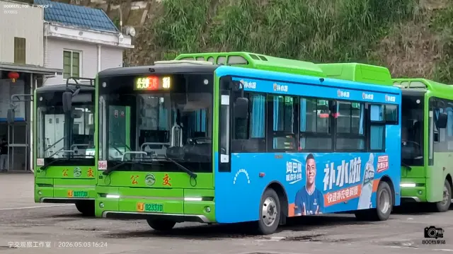 800BUS