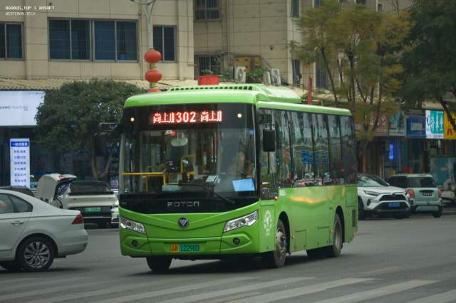 800BUS