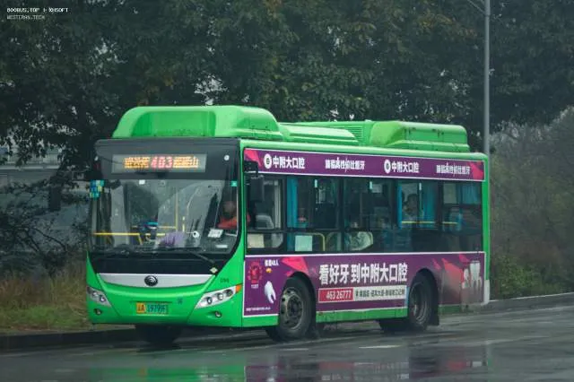 800BUS
